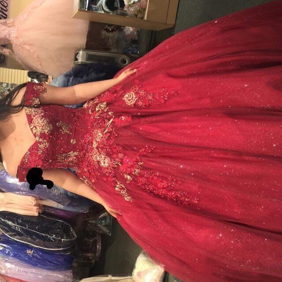 Quinceañera Dress - Picture 2 of 3